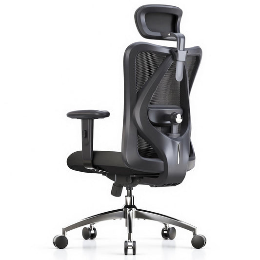 SIHOO M18 Ergonomic Mesh Office Chair with Headrest & Lumbar